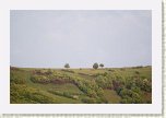 05 - 04 Copacei * 640 x 428 * (44KB)